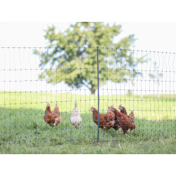 nevodiva sit pro drubez kerbl 292418 premium 106cm x 50m 2 hroty 2