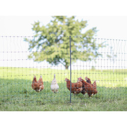 nevodiva sit pro drubez kerbl 292419 premium 106cm x 25m 2 hroty 2