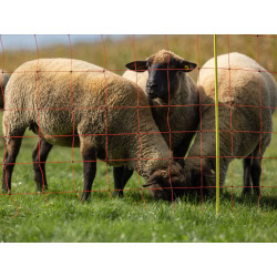 sit pro elektricky ohradnik pro ovce kerbl 27901 90cm x 50m 2 hroty oranzova 2