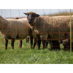 sit pro elektricky ohradnik pro ovce kerbl 27901 90cm x 50m 2 hroty oranzova 3