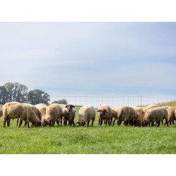 sit pro elektricky ohradnik pro ovce kerbl 27901 90cm x 50m 2 hroty oranzova 4