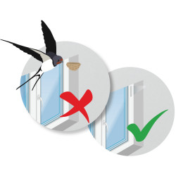 Prevence hnízdění ptáků na okně