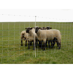 sit pro elektricky ohradnik pro ovce kozy kerbl 27388 ovinet maxi 122cm x 50m 1 hrot bilomodra 3