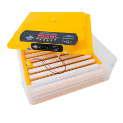 Automatická líheň WQ-60 pro 60 vajec s regulací NOVÝ MODEL