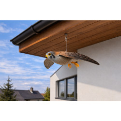 Trojrozměrná maketa dravce - poštolka 56 cm
