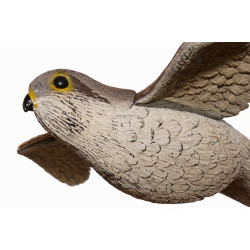 Trojrozměrná maketa dravce - poštolka 56 cm