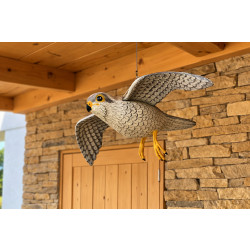 Trojrozměrná maketa dravce - poštolka 56 cm