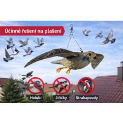 Trojrozměrná maketa dravce - poštolka 56 cm