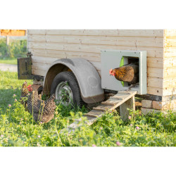 KERBL SmartCoop automatická dvířka kurníku
