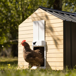 Automatická dvířka kurníku RUN-CHICKEN T50 / barva černá
