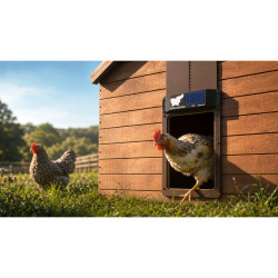 Automatická solární dvířka kurníku RUN-CHICKEN Eternal / barva černá