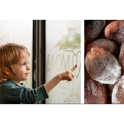Odvlhčovač Foggystop Plus Home