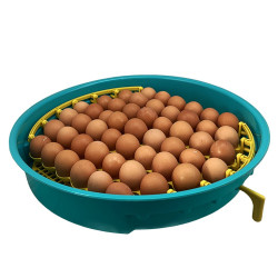 42 3 lihen na vejce puisor io 103 s dolihni drubeze