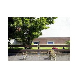 Ultrazvukový odpuzovač psů a koček Gardigo 60050, 70 m²