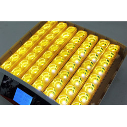 Automatická digitální líheň YZ42S s LED držáky. Pro 42 vajec.