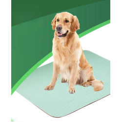 Absorpční pratelná podložka pro psy 60 x 45 cm