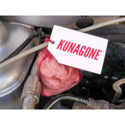 kunagone do auta