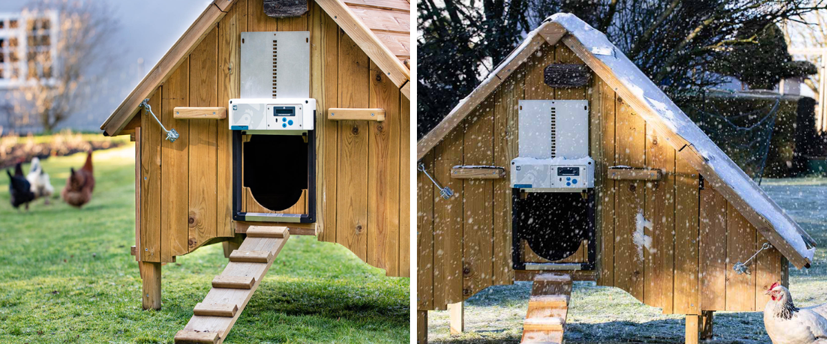 Komplet-automatickeho-otevirani-a-zavirani-kurniku-chicken-guard-all-in-one-odolnost1