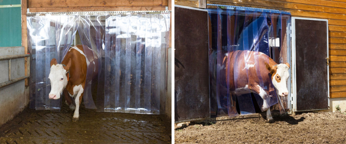 kerbl-291155-dobytek