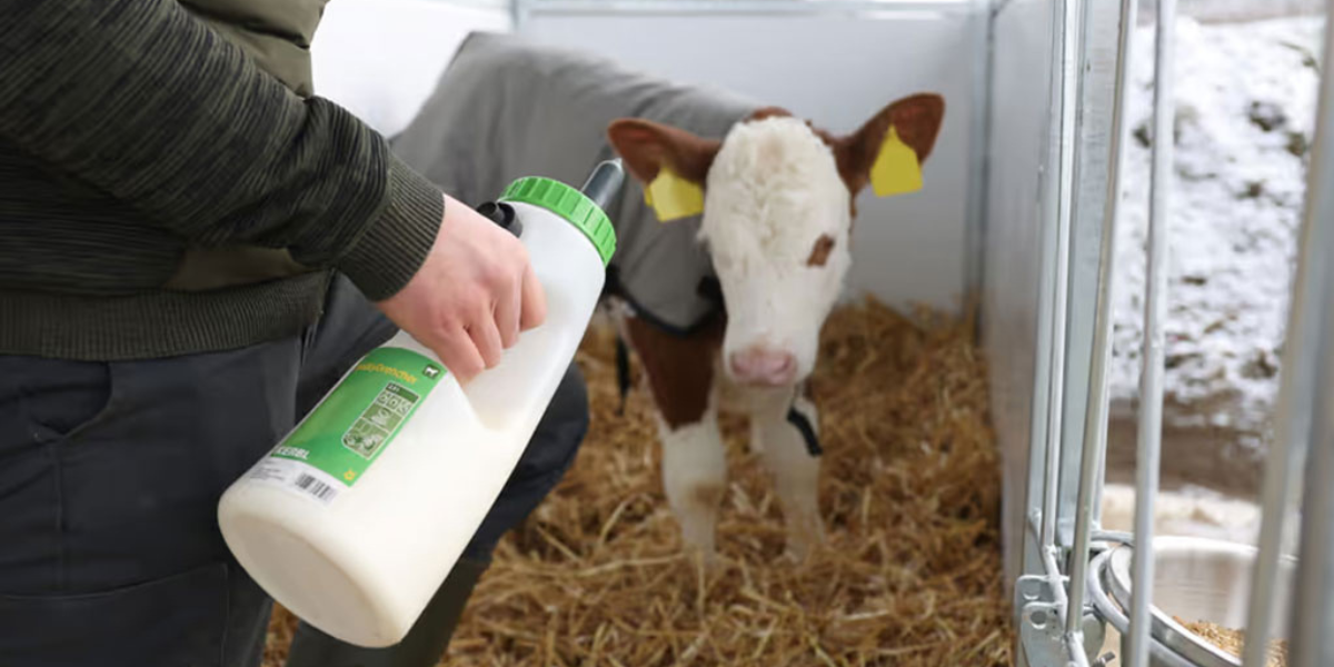 krmna-lahev-pro-telata-s-dudlikem-kerbl-14671-milky-feeder-2-5l-krmeni