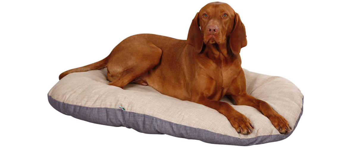 pelisek-pro-psy-a-kocky-kerbl-80355-loneta-72x52x8cm-bezovy_1