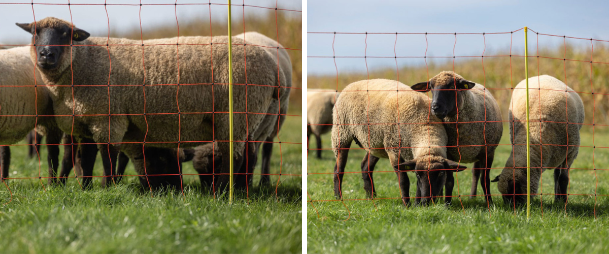 sit-pro-elektricky-ohradnik-pro-ovce-kerbl-27903-108cm-x-50m-2-hroty-oranzova_2